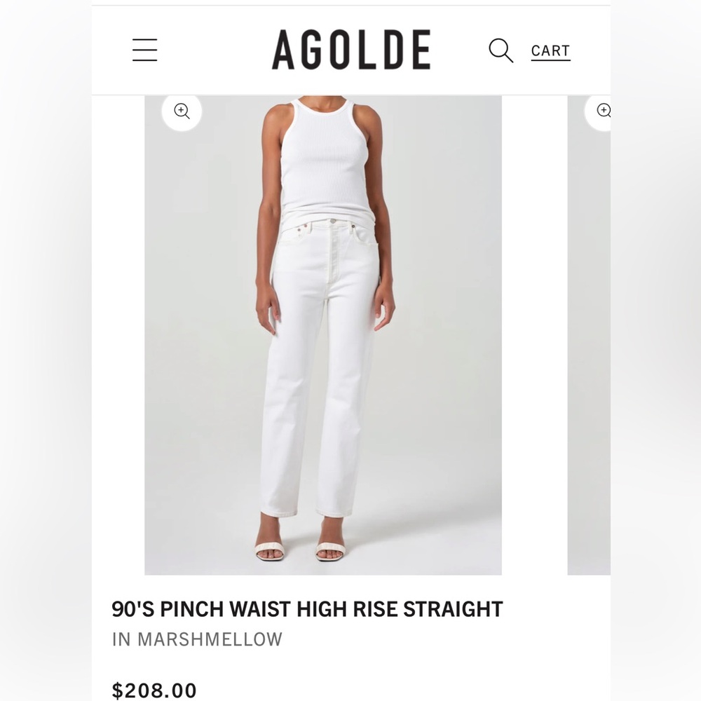 AGOLDE 90s Pinch Waist in Drum Size 25